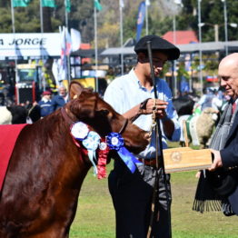 Expo Prado 2019 - Día 11 (96)