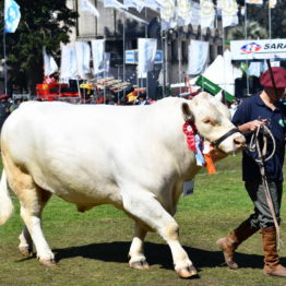 Expo Prado 2019 - Día 11 (97)