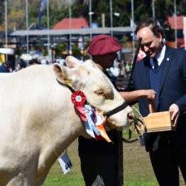 Expo Prado 2019 - Día 11 (98)