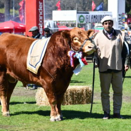 Expo Prado 2019 - Día 11 (99)