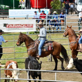 Expo Prado 2019 - Día 12 (10)