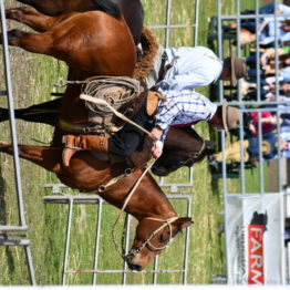 Expo Prado 2019 - Día 12 (11)