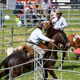 Expo Prado 2019 - Día 12 (13)