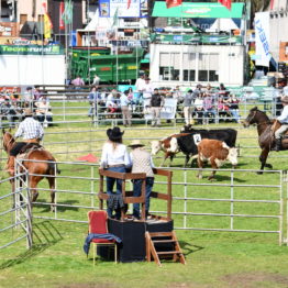 Expo Prado 2019 - Día 12 (14)