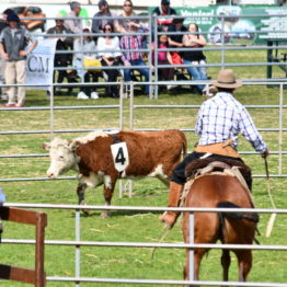 Expo Prado 2019 - Día 12 (15)