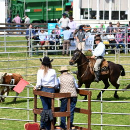 Expo Prado 2019 - Día 12 (16)