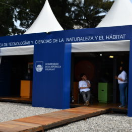 Expo Prado 2019 - Día 12 (163)