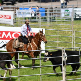 Expo Prado 2019 - Día 12 (17)