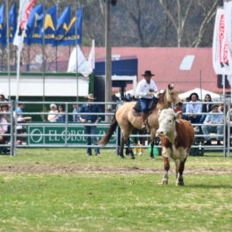 Expo Prado 2019 - Día 12 (170)