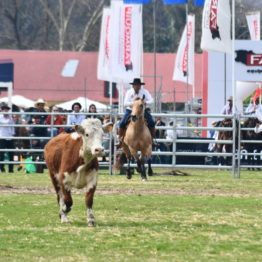 Expo Prado 2019 - Día 12 (171)