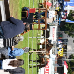 Expo Prado 2019 - Día 12 (18)