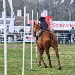 Expo Prado 2019 - Día 12 (188)