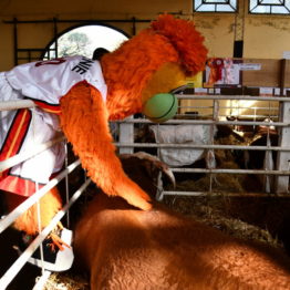 Expo Prado 2019 - Día 12 (199)