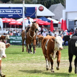 Expo Prado 2019 - Día 12 (28)