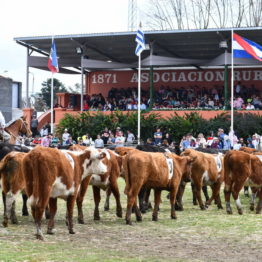 Expo Prado 2019 - Día 12 (31)