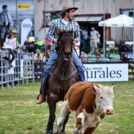 Expo Prado 2019 - Día 12 (32)