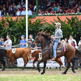 Expo Prado 2019 - Día 12 (34)