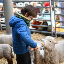 Expo Prado 2019 - Día 2 (139)