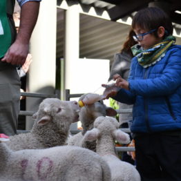 Expo Prado 2019 - Día 2 (140)