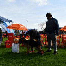 Expo Prado 2019 - Día 2 (26)