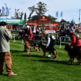 Expo Prado 2019 - Día 2 (34)