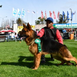 Expo Prado 2019 - Día 2 (35)