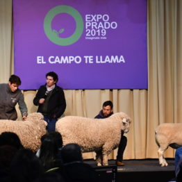 Expo Prado 2019 - Día 2 (7)