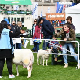 Expo Prado 2019 - Día 3 (101)