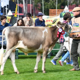 Expo Prado 2019 - Día 3 (106)