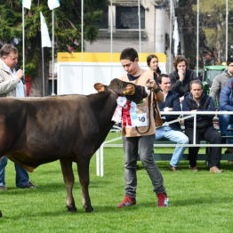 Expo Prado 2019 - Día 3 (107)