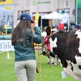 Expo Prado 2019 - Día 3 (135)