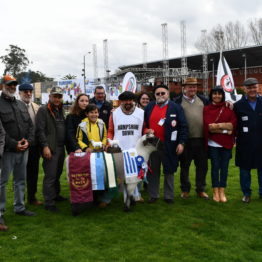 Expo Prado 2019 - Día 3 (138)