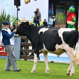 Expo Prado 2019 - Día 3 (140)