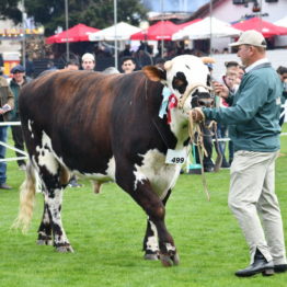 Expo Prado 2019 - Día 3 (141)