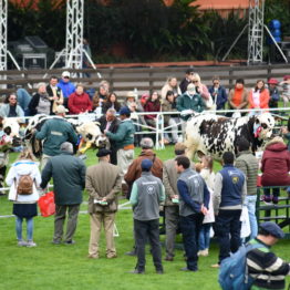 Expo Prado 2019 - Día 3 (154)