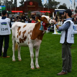 Expo Prado 2019 - Día 3 (160)