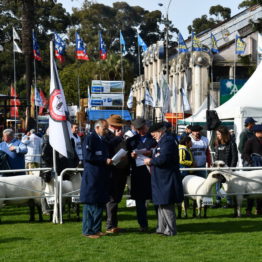 Expo Prado 2019 - Día 3 (17)