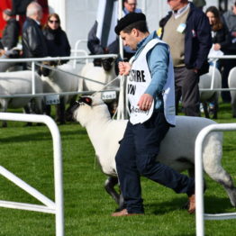 Expo Prado 2019 - Día 3 (21)