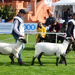 Expo Prado 2019 - Día 3 (45)