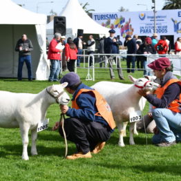 Expo Prado 2019 - Día 3 (48)