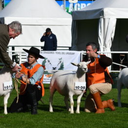 Expo Prado 2019 - Día 3 (5)