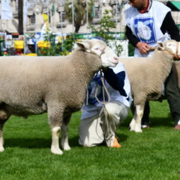 Expo Prado 2019 - Día 3 (60)