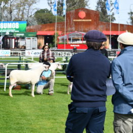 Expo Prado 2019 - Día 3 (61)