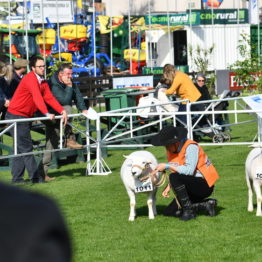 Expo Prado 2019 - Día 3 (7)