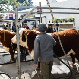 Expo Prado 2019 - Día 3 (79)