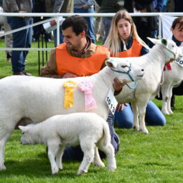 Expo Prado 2019 - Día 3 (84)