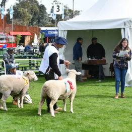 Expo Prado 2019 - Día 3 (85)