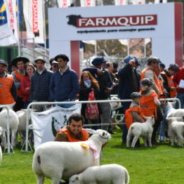 Expo Prado 2019 - Día 3 (86)