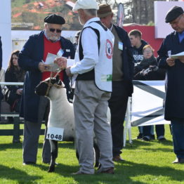 Expo Prado 2019 - Día 3 (9)
