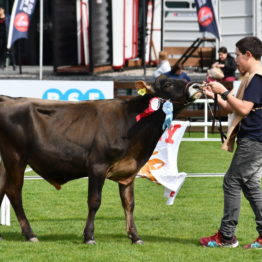 Expo Prado 2019 - Día 3 (92)